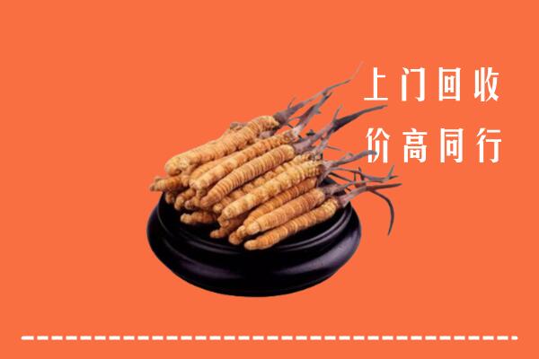 高价求购：景德镇市乐平回收散虫草