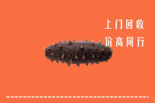 高价求购：景德镇市乐平回收海参