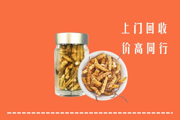 收购行情：景德镇市乐平回收冬虫夏草