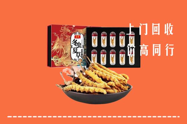 景德镇市乐平高价回收虫草